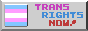 Trans Rights Now! (web button)